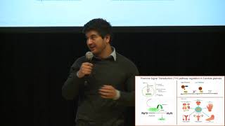 Yakendra Bajgain  Understanding the transcription of Candida glabrata thiamine [upl. by Mitran307]