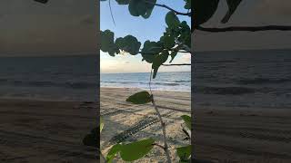 Playa relajante  Relaxing Beach Sounds [upl. by Margaret720]