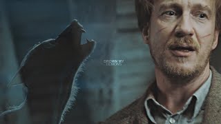 Remus Lupin  Drown my Demons [upl. by Forester952]