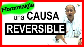 Fibromialgia y Sensibilidad al Gluten No Celíaca ✅ Entrevista al Dr Carlos María Isasi Zaragozá [upl. by Zinnes]