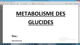 Métabolisme des glucides 1 [upl. by Boar]