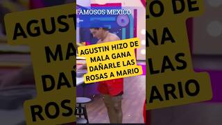 AGUSTIN HIZO DE MALA GANA DAÑARLE LAS ROSAS A MARIO  LA CASA DE LOS FAMOSOS MEXICO 2024 [upl. by Patricia760]