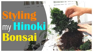 First Styling of my Hinoki Cypress Bonsai [upl. by Notsehc455]