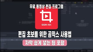 곰믹스 사용법 음악넣기 영상 자르기 자막 넣는법까지 기본적인 것과 꿀팁까지 간단하게 알려드려요 [upl. by Ynaoj]