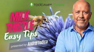 Explore the Health Benefits of Milk Thistle and Its Everyday Uses [upl. by Hcirdla]