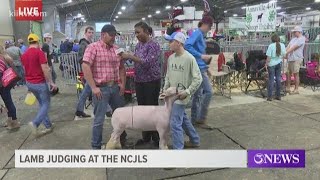 Fun continues at Nueces County Junior Livestock Show [upl. by Enamrahs]