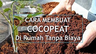 CARA MEMBUAT MEDIA TANAM COCOPEAT TANPA BIAYA KAMU HARUS COBA  ILMU HIDROPONIK [upl. by Ber]