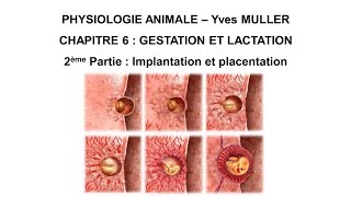 Chapitre 62 Implantation et placentation [upl. by Hesoj]