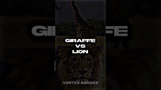 Giraffe VS Lion shorts animals wildlife [upl. by Skelton]