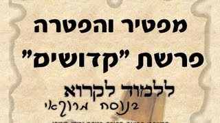 הפטרת קדושים בנוסח יהודי מרוקו  Haftarah Haftorah Reading Kedoshim [upl. by Kadner341]