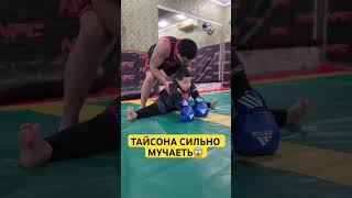 ТРЕНЕР ТАЙСОНА СИЛЬНО МУЧАЕТЬ😱 [upl. by Htenaj]