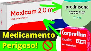 REMEDIO ANTIINFLAMATÓRIOS PARA CACHORRO  Melhor Remédio para Dor [upl. by Zarger]