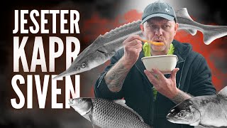 JESETER KAPR A SIVEN 🎣 Recept na mojí Bouillabaisse polévku ze 3 druhů ryb kterou zvládnete doma [upl. by Ycak712]