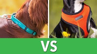 Dog Harness vs Collars  Ultimate Pet Nutrition  Dog Health Tips [upl. by Malony]