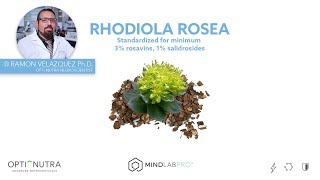 Rhodiola Rosea with Dr Ramon Velazquez PhD  Mind Lab Pro® [upl. by Iruahs798]