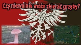 Czy niewolnik może zbierać grzyby [upl. by Sedda881]