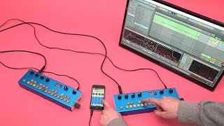 Critter amp Guitari  Ableton Link  Organelle [upl. by Ahsinak]