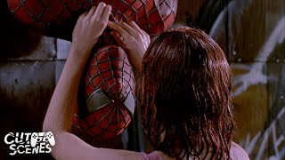 The Upside Down Kiss MJ  Peter  SpiderMan 2002 [upl. by Ackler]