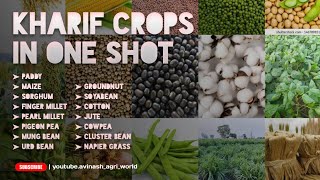 crop production technology 1 kharif crops in one shot  by avinash agri world bsc agriculture [upl. by Arbmik]