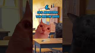 Arten von Schülern im Matheunterricht katzenvideos unterricht katze schule shorts [upl. by Niarda]