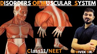 Disorders of Muscular amp Skeletal System  disorders of muscular  Tetany  Class 11 Biology NEET [upl. by Eicnan]