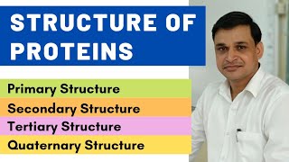 Protein structure  Primary Secondary Tertiary and Quaternary structure of proteins  Biochemistry [upl. by Rivard]