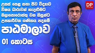 පාඩම 01  AL Maths  Science පදනම් පාඨමාලාව [upl. by Peggie]