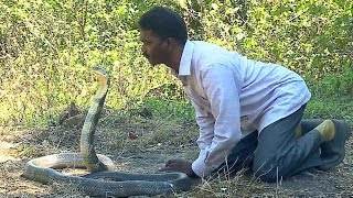 Vava Suresh Kissing a KING COBRA   Vava Suresh Snake Master 18032016  Kaumudy TV [upl. by Jacinthe618]