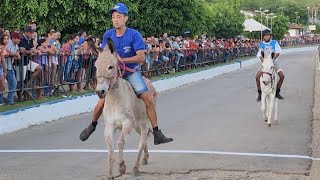 29ª CORRIDA DE JERICOS  JEGUE DE SALGADINHO PERNAMBUCO 01052024 [upl. by Nylednarb]