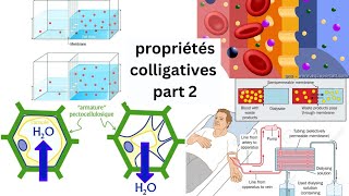 32 Propriétés colligatives  pression osmotique  phénomène de Starling  Filtration  dialyse [upl. by Nakah]