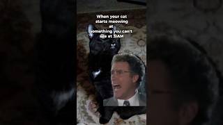 Will Ferrell You Shut Up Meme 😂👌 shorts youtubeshorts funny memes [upl. by Ennaylil]