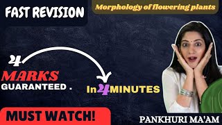 Aestivation Plant Morphology Class 11th Botany Pankhuri Miglani NEET 2025 [upl. by Marlie]