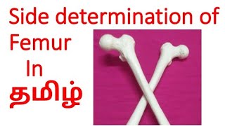 Side determination of Femur in TamilFemur side determination in TamilAnatomy in Tamil [upl. by Natsirk]