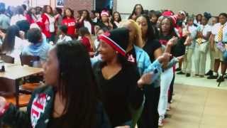 Delta Sigma Theta Strolling 2014 [upl. by Danice]