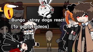 Bungo stray dogs react Not serious read desc [upl. by Kat]