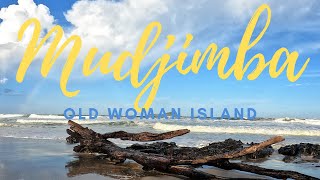 Mudjimba Beach Sunshine Coast amp Old Woman Island [upl. by Niuqram244]