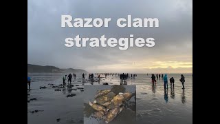 How to dig Razor Clams in tough conditions [upl. by Mattheus]