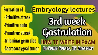 Gastrulation  Primitive streak  General embryology [upl. by Kreager]