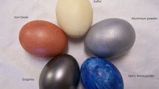 Eggs Dyed With Iron Aluminium Sulfur Graphite and Cyanide [upl. by Eislel537]