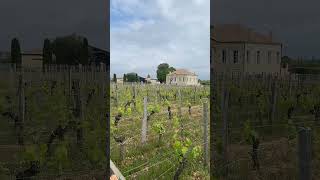 UGC Pomerol tasting at Chateau Le Gay  En Primeur Week 2024 wine legay enprimer [upl. by Azpurua]