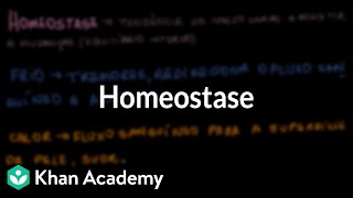 Homeostase [upl. by Steffy]