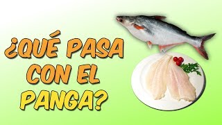 ¿Qué pasa con el panga [upl. by Eehsar]