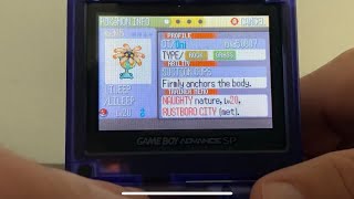 Live Shiny Lileep after 36384 SR Pokemon Sapphire [upl. by Wesa]