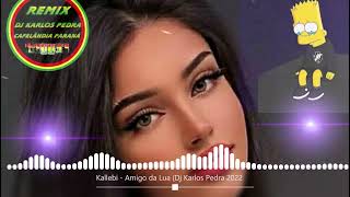 REGGAE REMIX 2022  Kallebi  Amigo da Lua  Dj karlos Pedra By Theemotion  Reggae Remix 2022 [upl. by Gawlas]