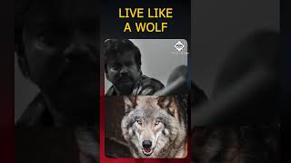 livelikeawolf life philosophy [upl. by Ylrevaw]