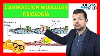 CONTRACCIÓN MUSCULAR FISIOLOGÍA GUYTON explicada FACIL ✅ [upl. by Lole]