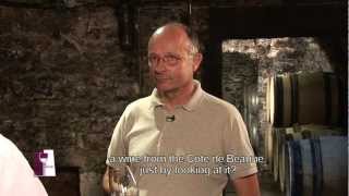 Understanding Burgundy Chablis Grand Crus with Bernard Raveneau [upl. by Iaht]