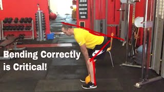 5 Bulging Disc Exercises To Eliminate Low Back Pain [upl. by Otila71]