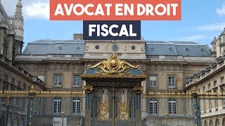 Avocats  la spécialité droit fiscal [upl. by Eiramik]