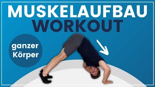 12 Minuten Muskelaufbau Workout ➡️ Stärkende Übungen für den ganzen Körper [upl. by Laurie]